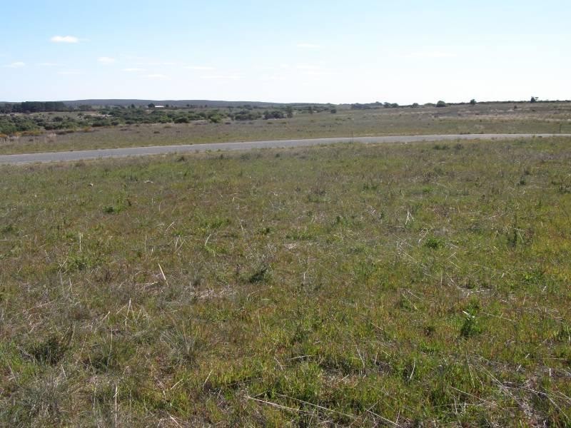 247 Casuarina Drive, Nilgen WA 6044