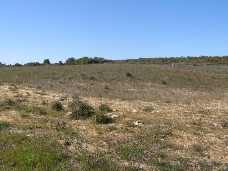 247 Casuarina Drive, Nilgen WA 6044