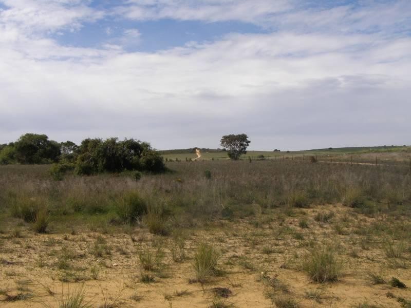 Lot 369 Ocean Farm Drive, Lancelin WA 6044