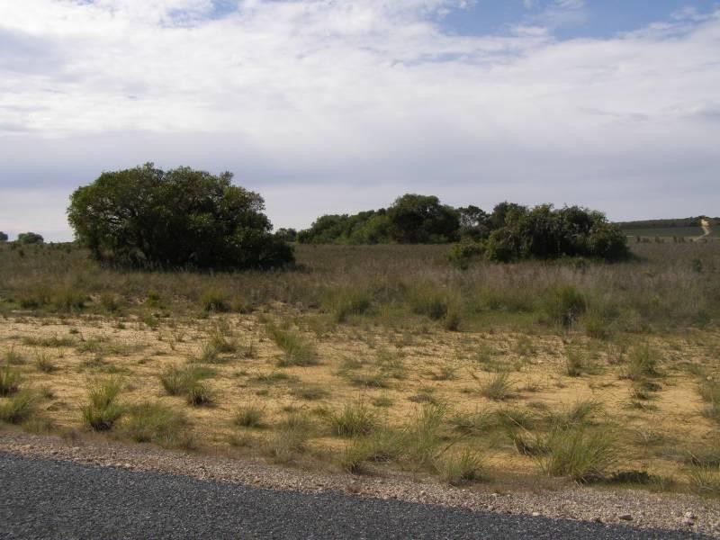 Lot 369 Ocean Farm Drive, Lancelin WA 6044