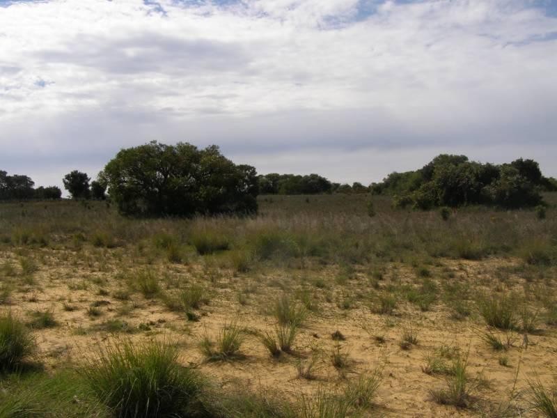 Lot 369 Ocean Farm Drive, Lancelin WA 6044