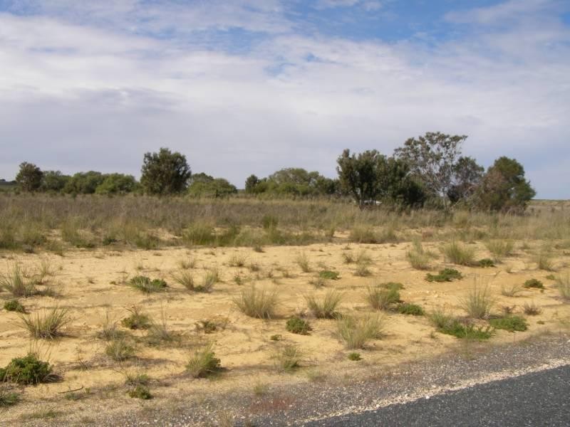 Lot 369 Ocean Farm Drive, Lancelin WA 6044
