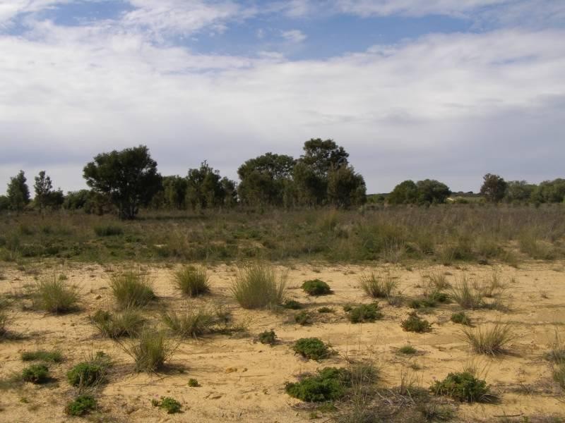 Lot 369 Ocean Farm Drive, Lancelin WA 6044
