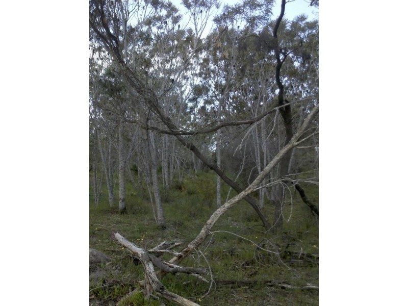 2750 Wanerie, Wanerie WA 6503