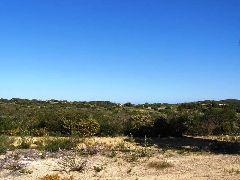 48 Flat Rock Pass, Karakin WA 6044