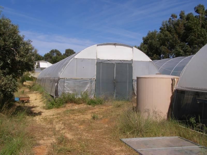 45 Kangaroo Way, Lancelin WA 6044