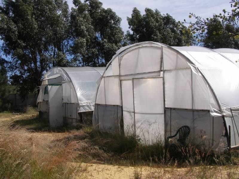 45 Kangaroo Way, Lancelin WA 6044