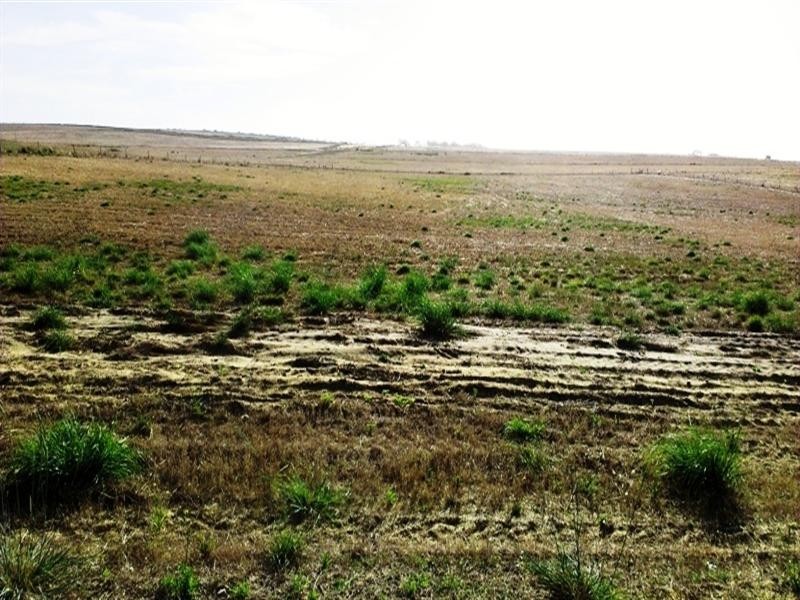 Lot 320 Ocean Farm Drive, Lancelin WA 6044