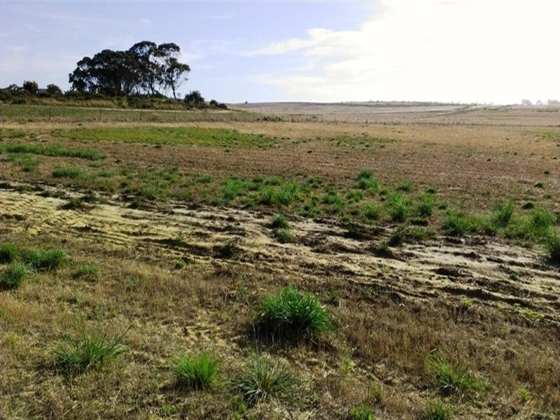 Lot 320 Ocean Farm Drive, Lancelin WA 6044