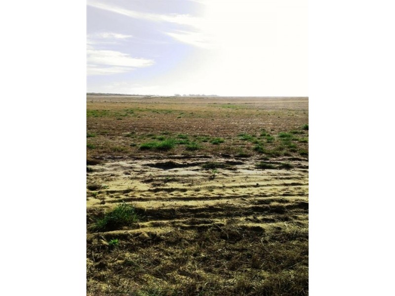 Lot 320 Ocean Farm Drive, Lancelin WA 6044