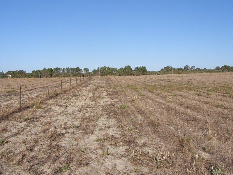 357 Hakea Court, Nilgen WA 6044