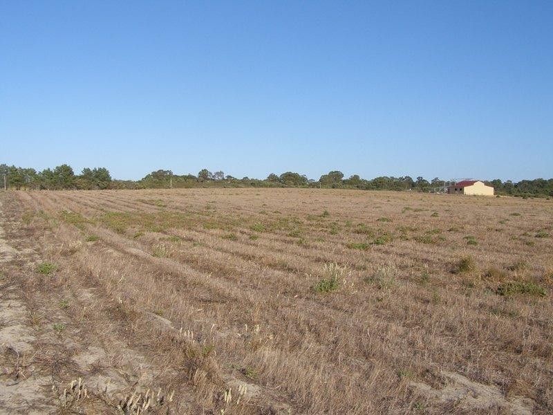 357 Hakea Court, Nilgen WA 6044