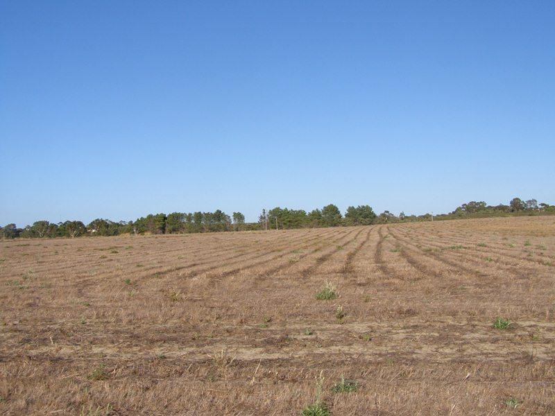 357 Hakea Court, Nilgen WA 6044