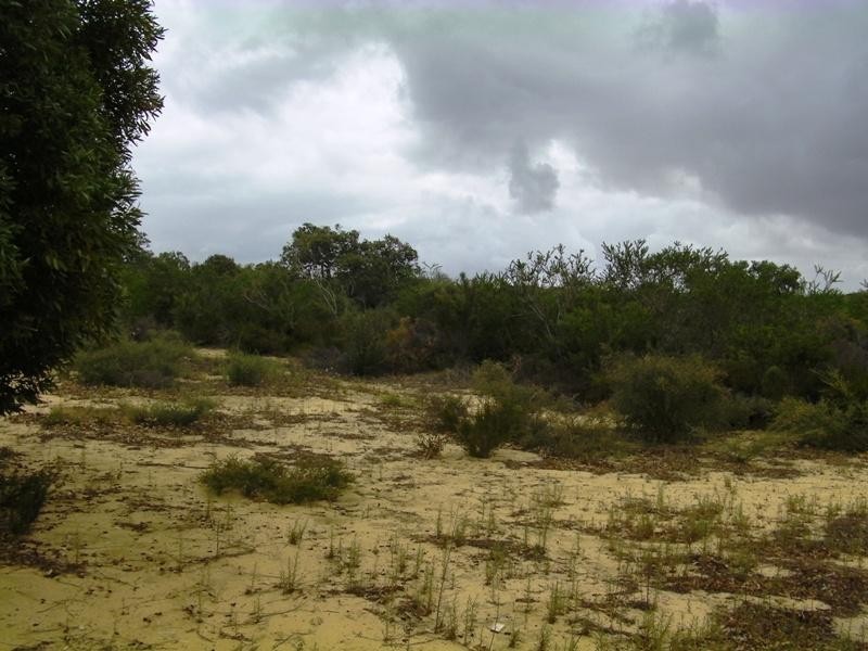 L260 Seaview Drive, Lancelin WA 6044