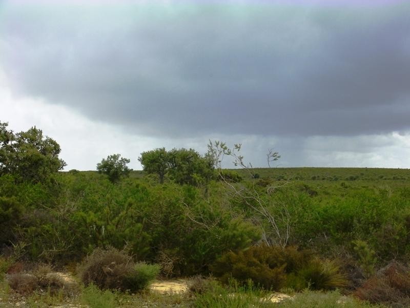 L260 Seaview Drive, Lancelin WA 6044