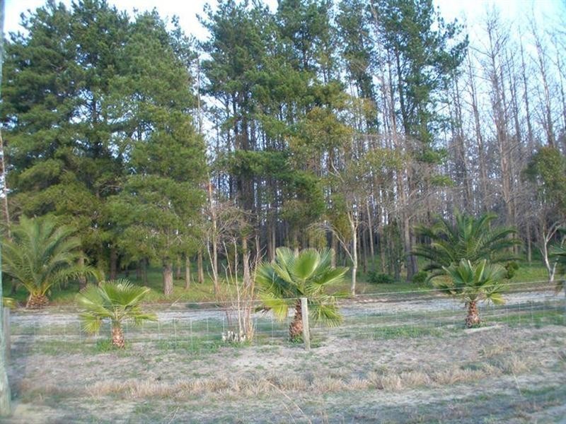 Lot 375 Ocean Farm Drive, Nilgen WA 6044