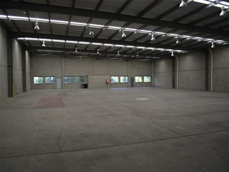 19 Randall Street, Slacks Creek QLD 4127