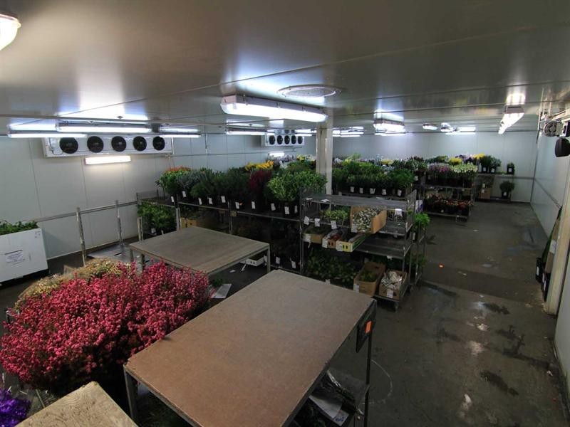 6 Carlyle Street, Slacks Creek QLD 4127