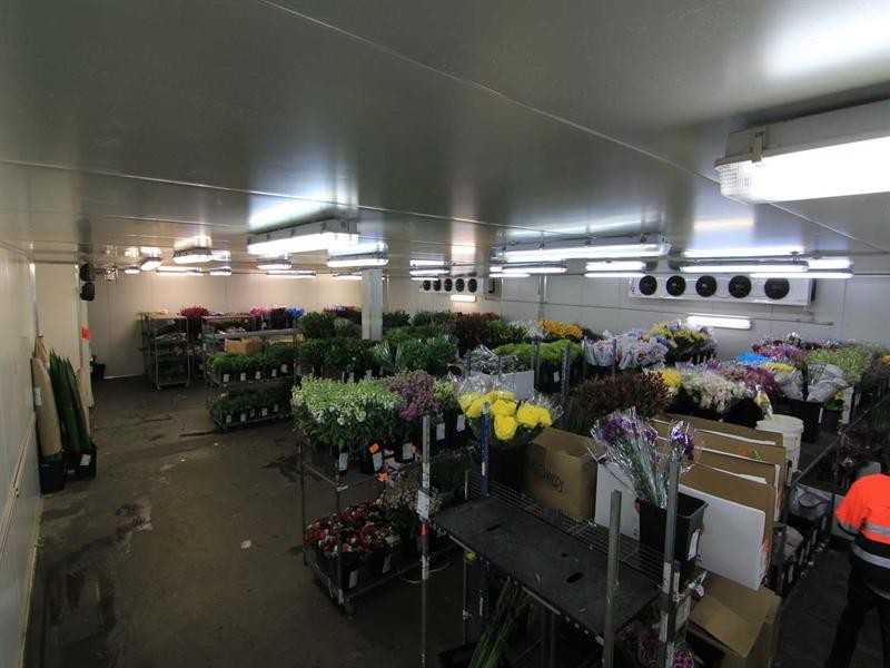 6 Carlyle Street, Slacks Creek QLD 4127