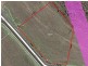 Meadowbrook QLD 4131
