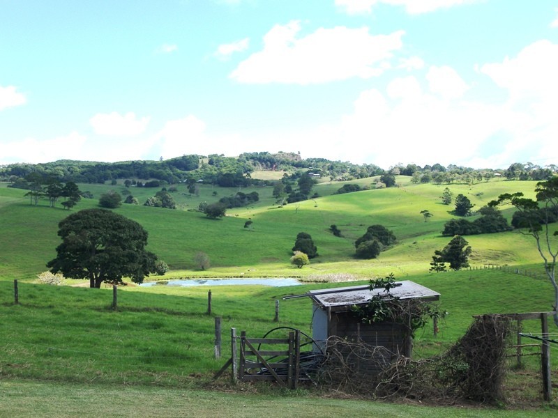 Maleny QLD 4552