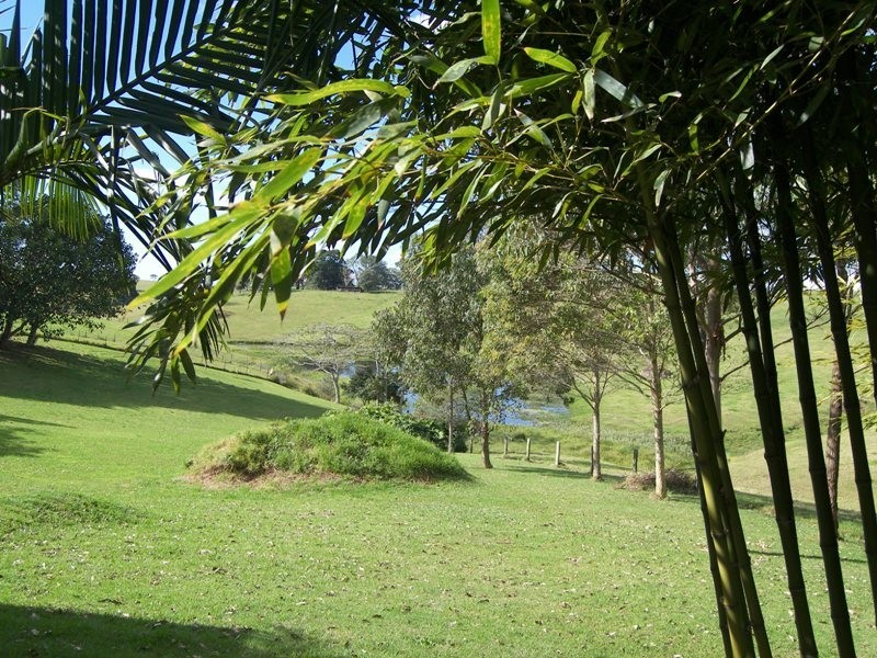 Maleny QLD 4552