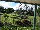 Maleny QLD 4552