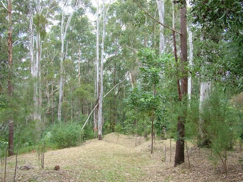 Crohamhurst QLD 4519