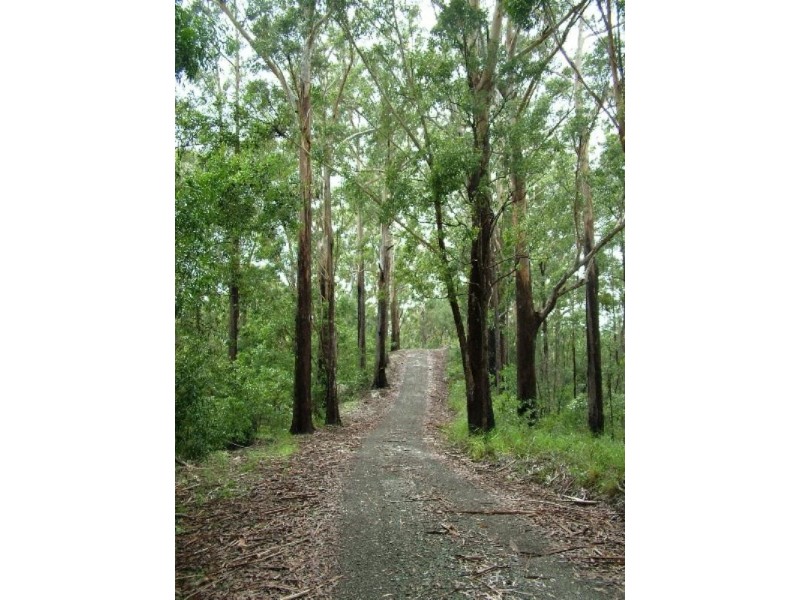 Crohamhurst QLD 4519