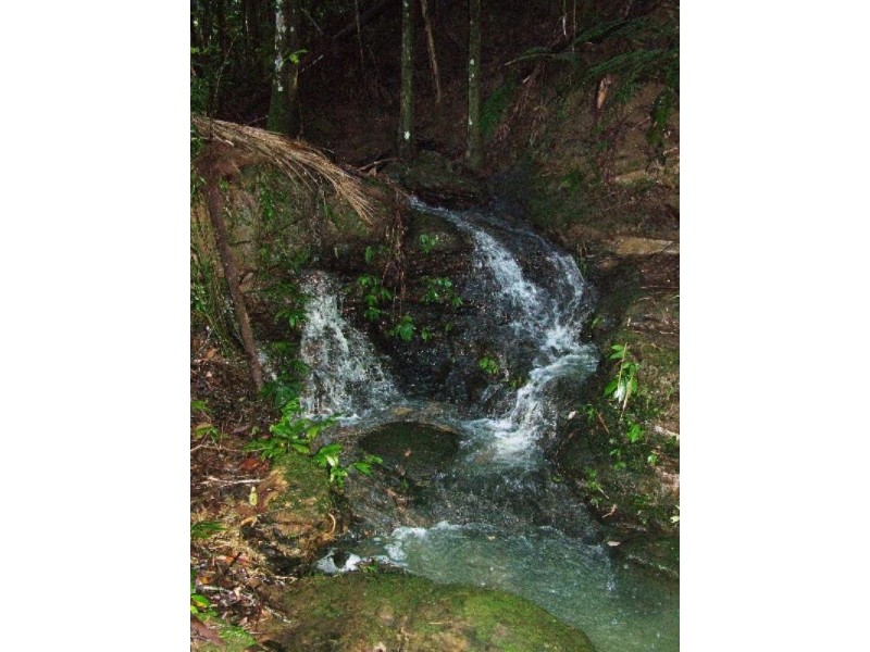 Crohamhurst QLD 4519