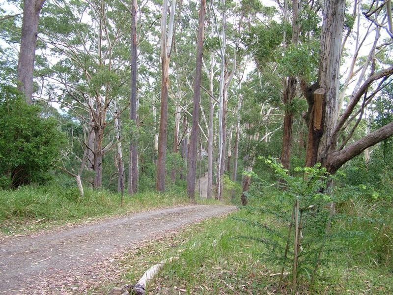 Crohamhurst QLD 4519