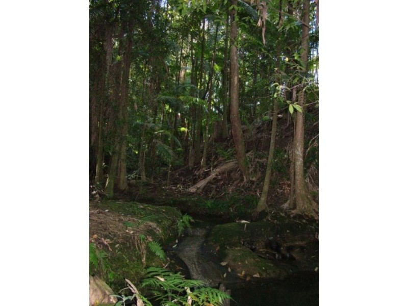 Crohamhurst QLD 4519