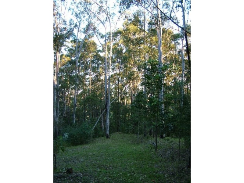 Crohamhurst QLD 4519