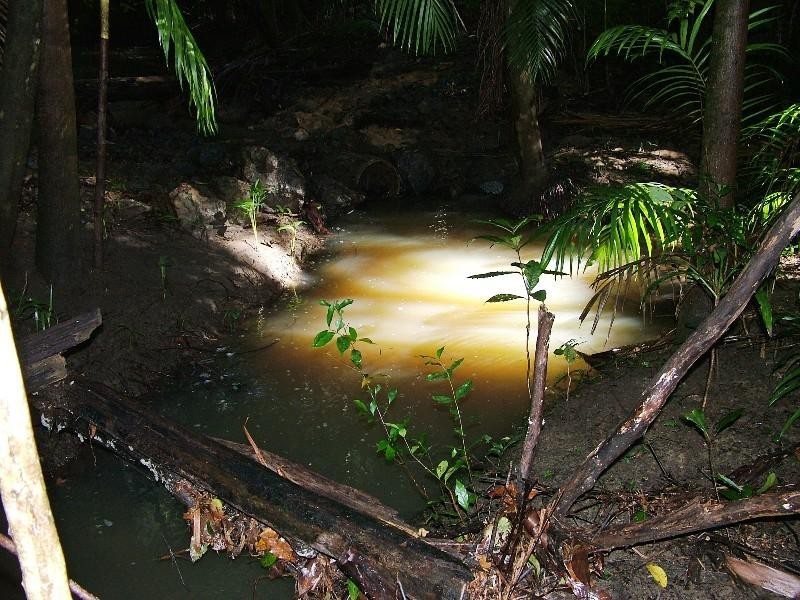 Crohamhurst QLD 4519