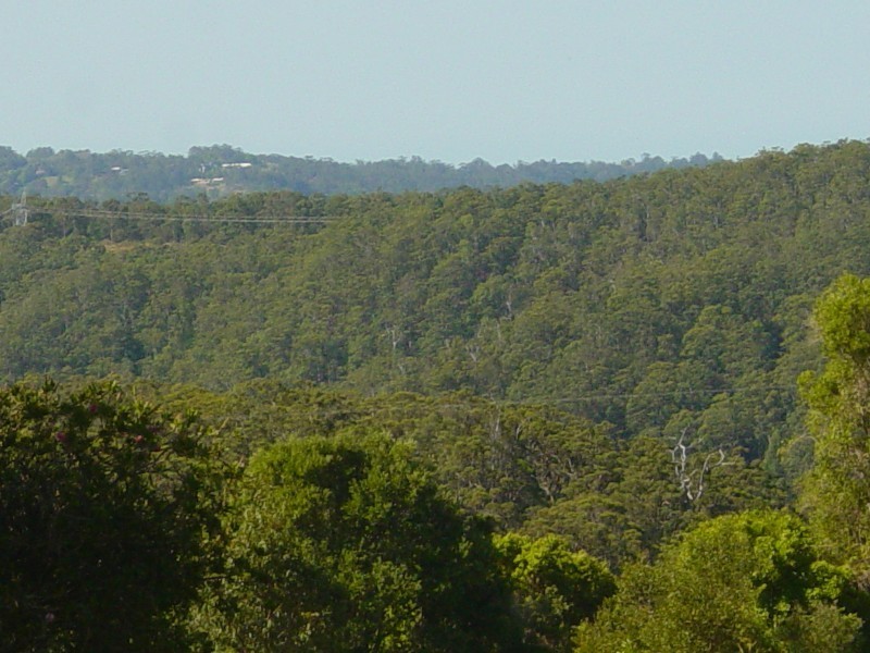 Maleny QLD 4552