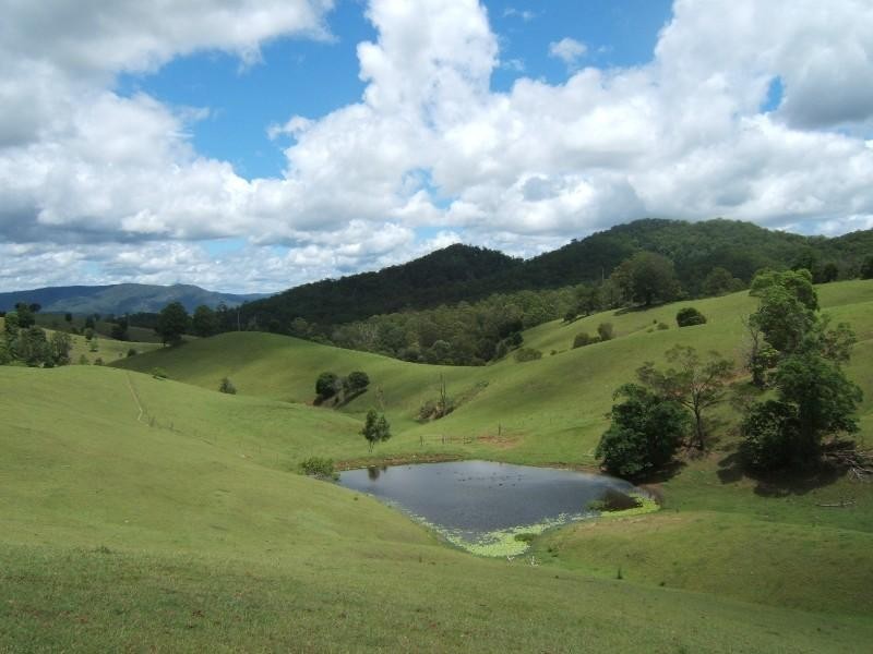 Conondale QLD 4552