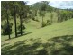 Conondale QLD 4552