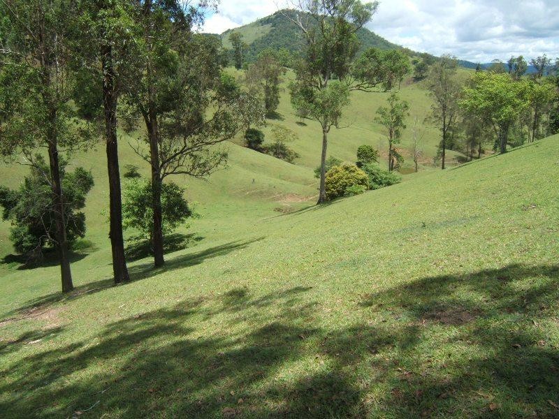 Conondale QLD 4552