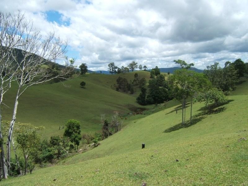 Conondale QLD 4552