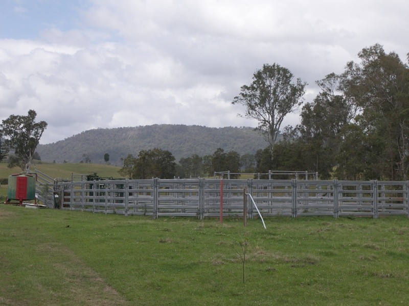 Conondale QLD 4552