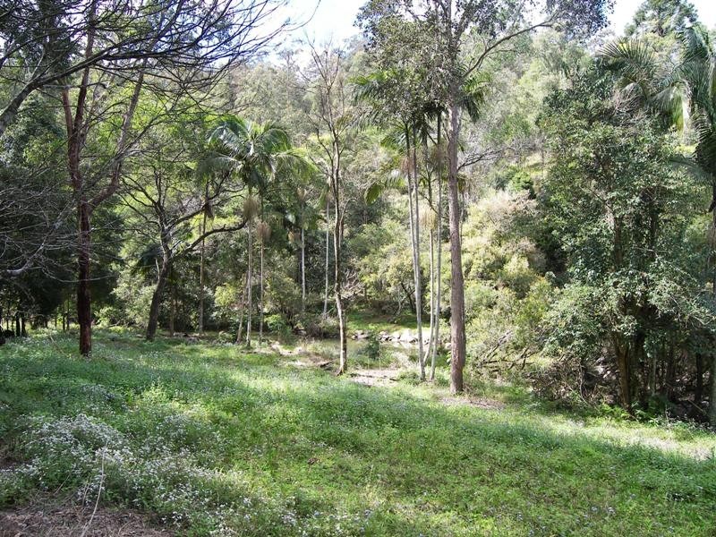 Conondale QLD 4552