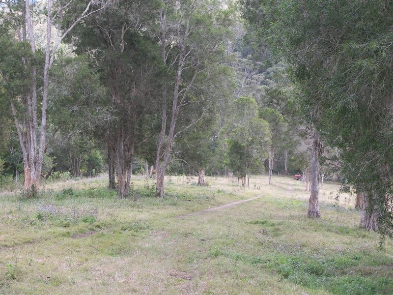 Conondale QLD 4552
