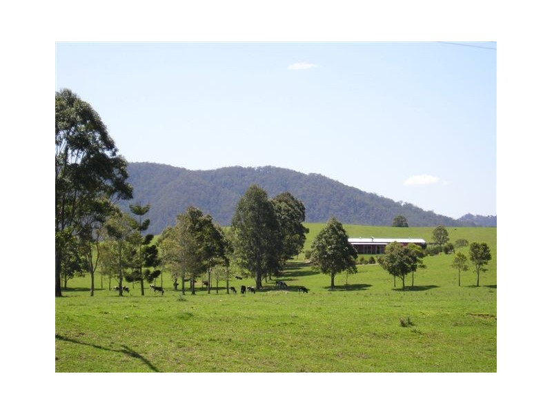 Conondale QLD 4552