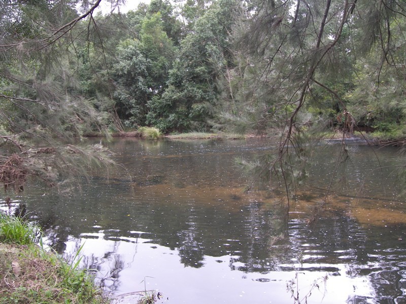 Conondale QLD 4552