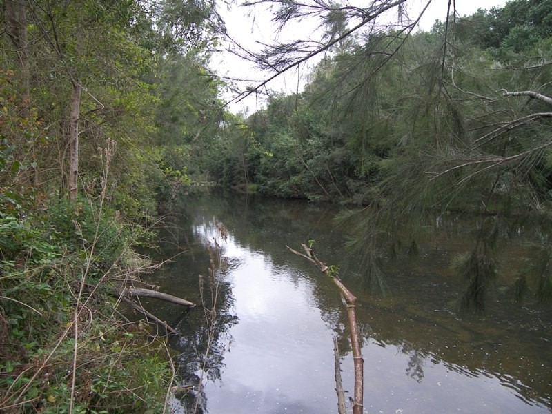 Conondale QLD 4552