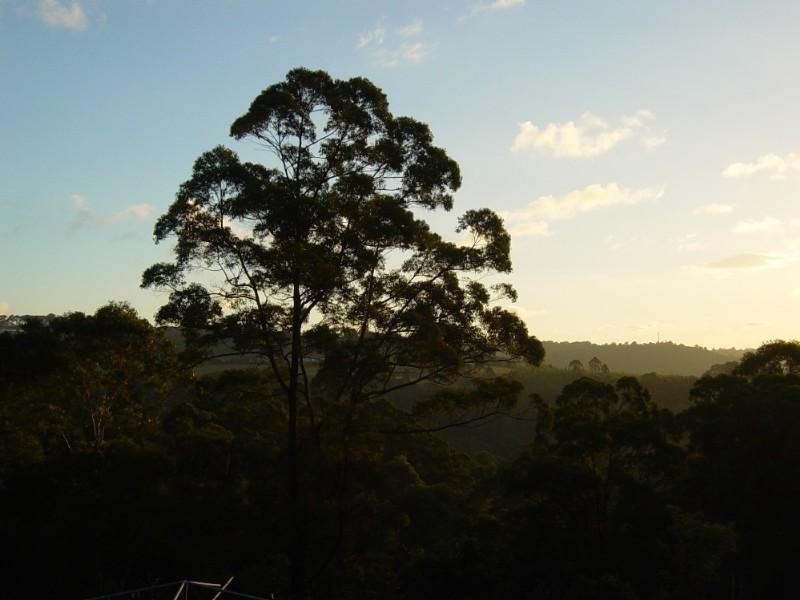 35 Rosella Road, Maleny QLD 4552