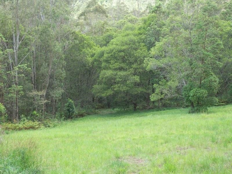 Maleny QLD 4552
