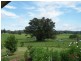 Witta QLD 4552