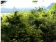 Maleny QLD 4552