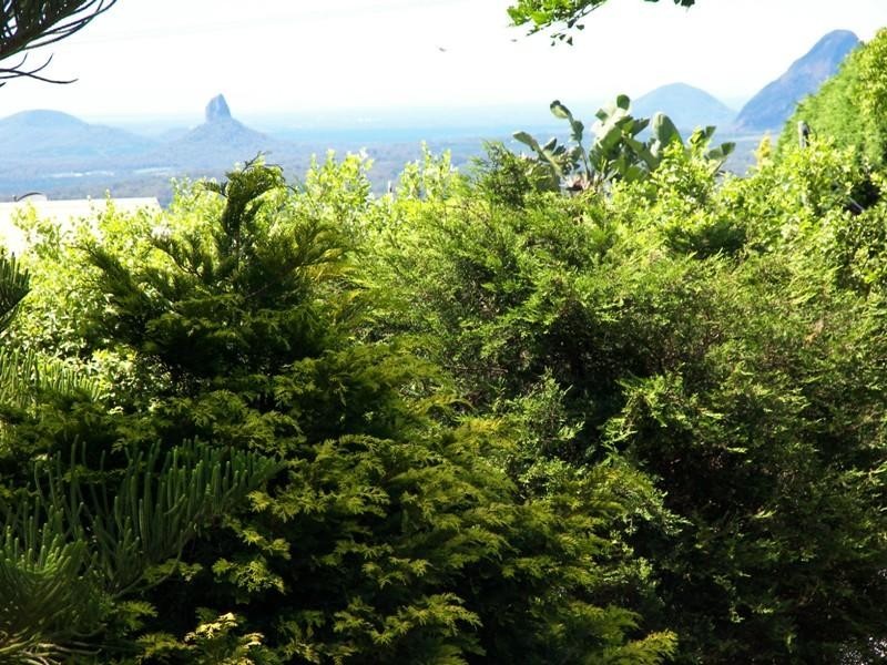Maleny QLD 4552